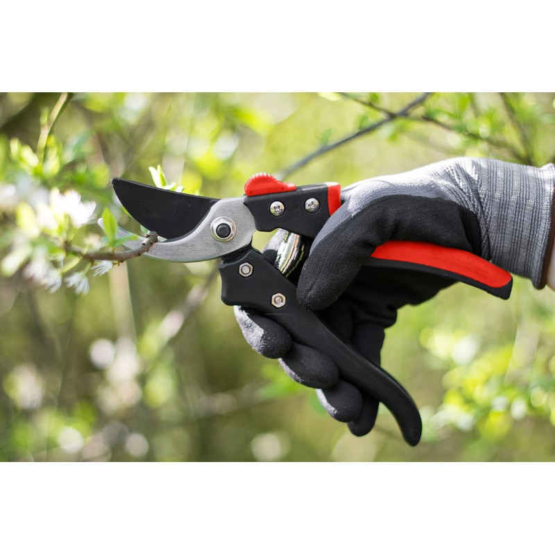 Meister 9719300 Bypass Secateurs