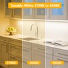 DAYBETTER Under Cabinet Lighting, Dimmable Under Cabinet Lights with Remote,