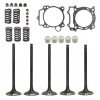 Unbranded For Yamaha YZ450F 2003-2009 Intake Exhaust Valve Seal Tappet