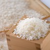 [100% Japan Grown] Nagano Superb MILKY QUEEN Sticky Rice [Limited