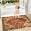 Collive Indoor Door Mat Retro Floor Mat, Non Slip Washable