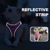 haapaw Dog Harness with Leash Set, No Pull Adjustable Reflective