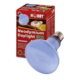 Hobby Neodymium Daylight Eco