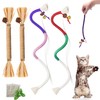 4Pcs Cat Chew Toys | 2 Silvervine Sticks & 2