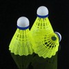 6Pcs/Set Professional Nylon Badminton Ball Shuttlecock Outdoor Sports Training Accessory