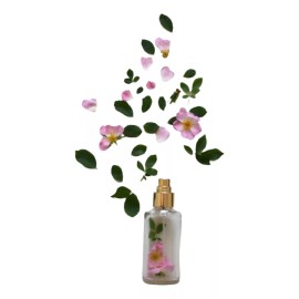 La Perfumm Esencias Para Perfumería W