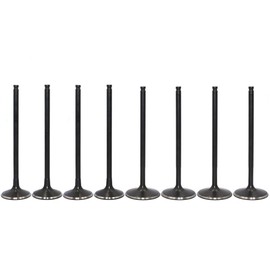 HWKWAZ Intake Exhaust Valve Kit for Polaris RZR XP 900 2011-2013 RZR XP 4 900 2013 RZR 900 2014 RZR 4 900 2014 RZR 4 XP 900 2012 RZR 4 XP 900 PS INTL 2013 RZR 4 XP JAGGED X 2013