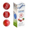 Mozi Sports Wind Cricket Balls - Indoor & Outdoor Soft