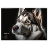 Hunde Porträts (Wandkalender 2026 DIN A3 quer), CALVENDO Monatskalender