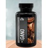 Gano Reishi Mushroom Supplement