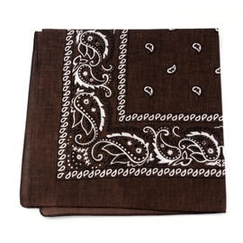 NYFASHION101 Unisex Double Sided Print Paisley Cotton Bandana Head Wrap Scarf, Brown