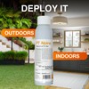 DIY Pest Control PPE Kit and PT Alpine Pressurized Fly