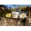 Unscented Skin Relief Cream For All Ages - 100% Natural,