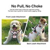 Petmolico No Pull Dog Harness Set, 2 Leash Attachment Easy