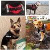 Dog Harness with Velcro Fastening, Anti-Pull Breathable Chest Harness, No-Pull
