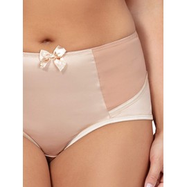 PARFAIT Charlotte Women's Full Figured Curvy High Waist Brief Vintage 6917-True Nude-2XL