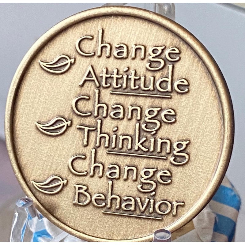 Drug Court Medallion Where Treatment Justice Meet Change Coin
