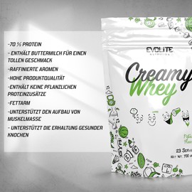 Evolite Whey Protein Powder 700 g - Whey Protein Powder Whey with Buttermilk - 21 g Protein per Serving - 23 Servings - Whey Protein Concentrate - Ideal for Muscle Building and Maintenance - Pistachio