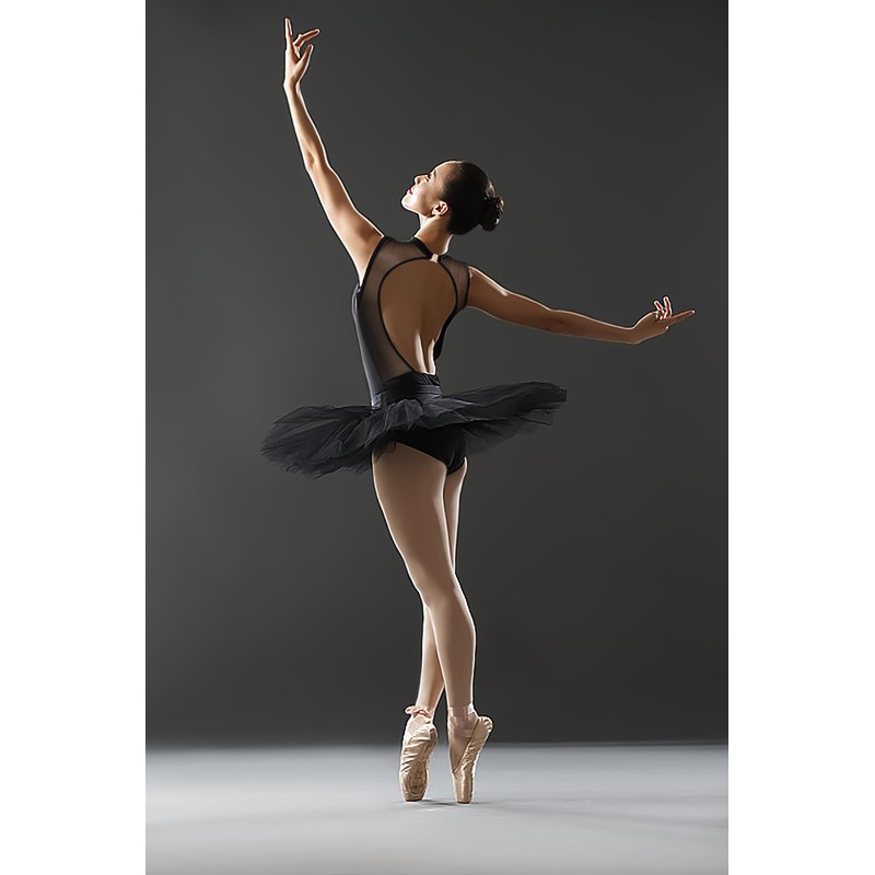 DANSHOW Halter Ballet Leotard for Women Dance Mesh Neck Ladies