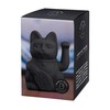 Donkey Products Lucky Cat 330466 Waving Cat Plastic 15 cm
