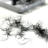 Linny Lashes 3D Eyelash Fans, CC Curl Eyelash Extensions -