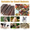 EeYahYong Organic Apple Sticks Small Animals Molar Wood Treats Toys