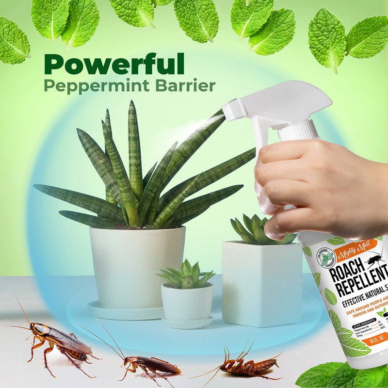 Mighty Mint Peppermint Oil Roach Repellent Spray – Natural Cockroach