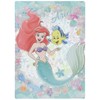Showa Notebook, Clear Underlayment, Ariel, B5 Size, 771457403