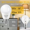 Prosperbiz E12 Dimmable 60W Equivalent LED Light Bulbs, A15 6W