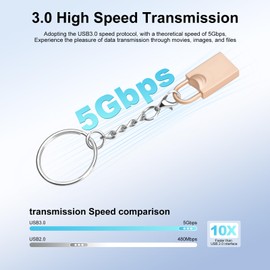 LEIZHAN USB 3.0 Flash Drive, Mini USB Flash Drive, USB Flash Drive for Car, USB Flash Drive with Keychain for PC, Laptop, etc (64GB, Gold Locks)