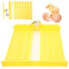 Automatic Egg Turner 48 Eggs ABS Automatic Egg Turner for