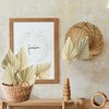 Sggvecsy Boho Dried Palm Leaves 10 Pieces 14.2’’ Natural Dried