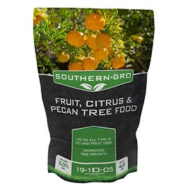 SouthernGRO Fruit, Citrus & Pecan Tree Food (19-10-05 3% ZN .1% FE .05% MN .05% CU .02% B) 4lb. Bag