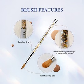 Chaleance Acrylic Nail Brush for Acrylic Powder, 12# Nail Brush for Acrylic Application, 100% Oval Kolinsky Sable Nail Brush, Nail Art Painting Tool