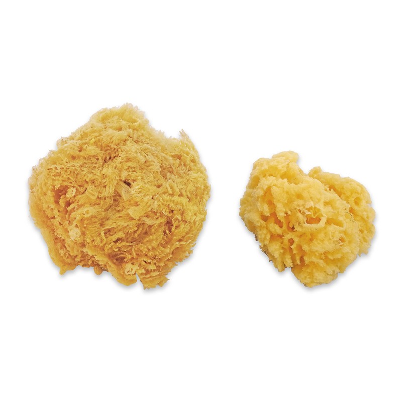 Natural Sea & Synthetic Sponges - Assorted Sizes 7pc Value