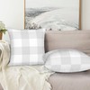 Mondiafy Pack of 2 Cozy Plush light Gray Throw Pillow