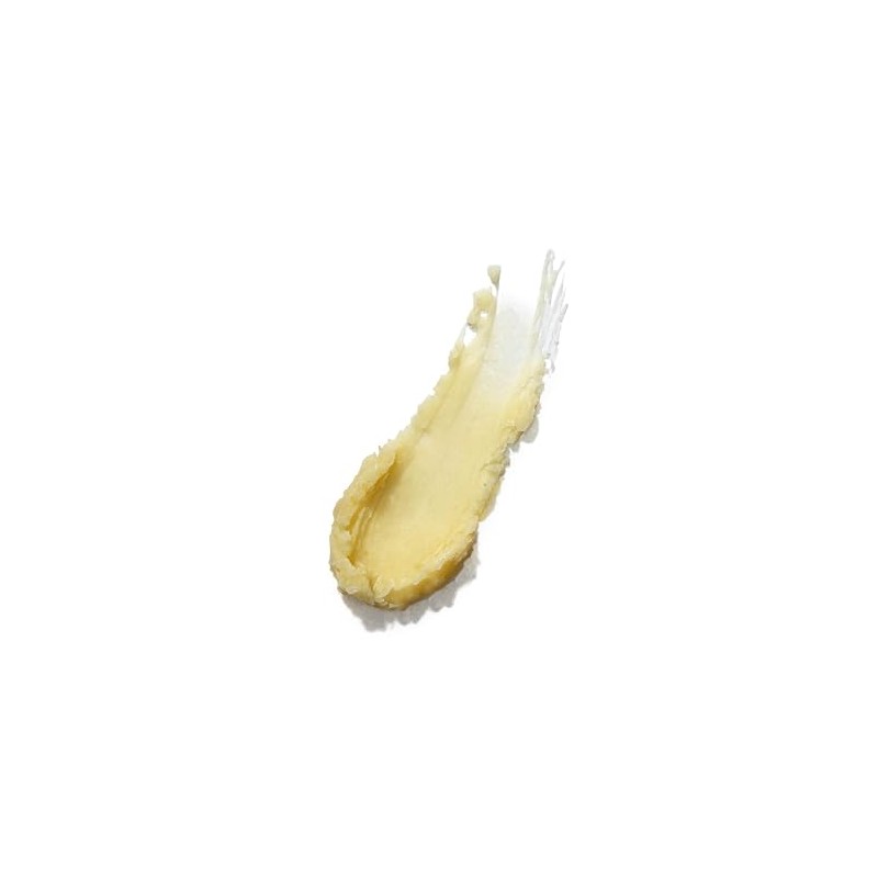 Weleda Everon Soin Des Levres - Bálsamo labial, 0.17 onzas,