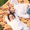 Red Panda Blanket Ultra Soft Flannel Merch Red Panda Throw