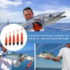 WQNNQW Luminous Float Fishing Floats Set of 5 Plastic Fishing
