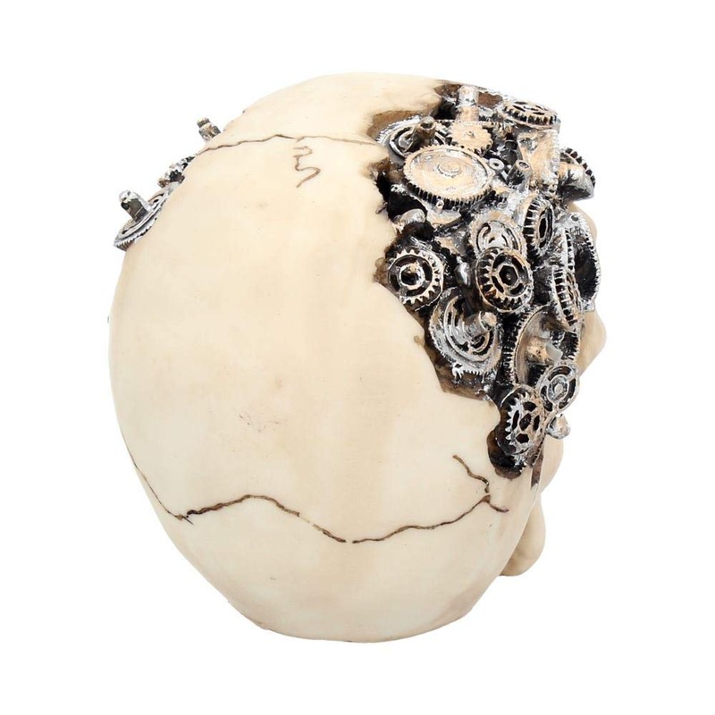Nemesis Now - Steampunk Clockwork Cranium Skull Figurine