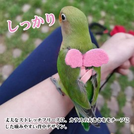 PAVIKE Bird Harness, Parakeet Lead, Adjustable Rope, For Walks, Prevents Loss, Lack of Exercise, Walking, Parrot Training Rope, For Small Animals, Going Out, Pink, Angel Wings, Cute, Bird Supplies