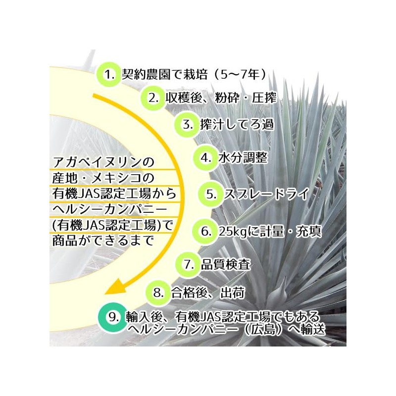 ヘルシーカンパニー オーガニック アガベ イヌリン (水溶性食物繊維)５００ｇ 有機