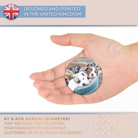 Destination Vinyl ltd Magnet for Refrigerator, Fridge - Adorable Pet Dog Puppies Animals Cute for Office, Cabinet and Whiteboard, Magnetic Stickers, 8428