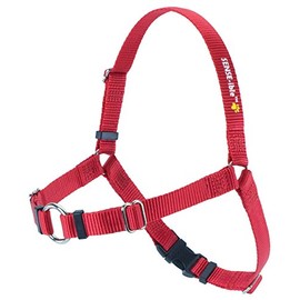 Sense-Ation Harness Sense-Ible No-Pull Dog Harness - Red Medium