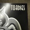 Toadies Hell Below/Stars Above 12x12 Album Cover Promo Poster DS