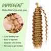 Eerya Long Curly Braiding Hair 18 Inch 2 Packs Deep