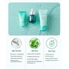 BRING GREEN TEA TREE CICA TRIAL KIT | Travel Size