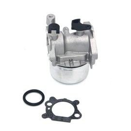 Carburetor For Briggs and Stratton Engine 126M02 124L02 Series 124L05 Series 124L07 Series 124T02 Series PN 799866 794304