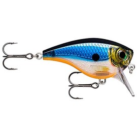 Rapala Unisex Adult BX Big Brat Curls, Blue Ghost, 6 cm