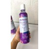2 Pzas Shampoo Matizador Violeta In Bellezza 500gr